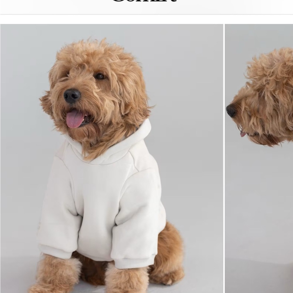 White Dog Hoodie - Comfrt